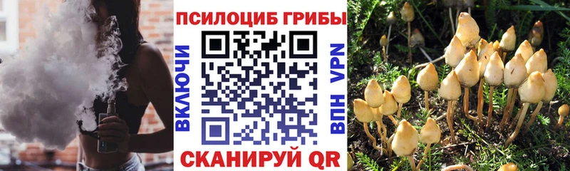 Псилоцибиновые грибы ЛСД  Палласовка 